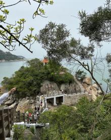 金银岛8