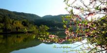 三百山景区2