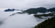 三百山景区26