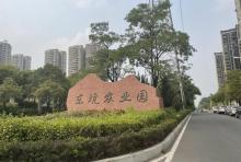 东坑农业园1