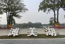 东坑农业园2