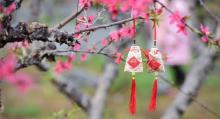 连州地下河22
