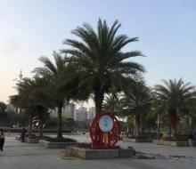 望江公园2