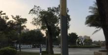 望江公园1