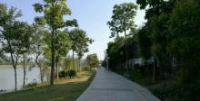 红楼滩公园1