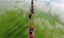 罗浮奇境主题旅游度假区3