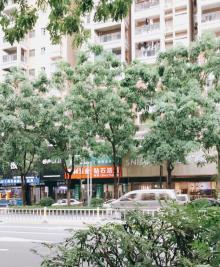 东山森林公园北广场2
