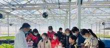 荷塘印象生态园3