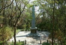 飞鹅岭森林公园3