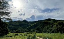 铁炉嶂森林公园4
