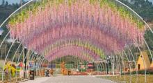 花为你开旅游度假区9