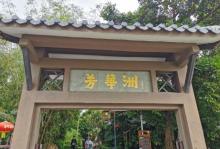 芳华洲6