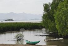 盐洲岛15