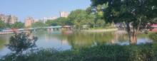 石龙西湖城市公园西区1