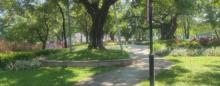石龙西湖城市公园西区2