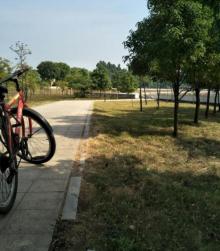 中堂龙舟广场6