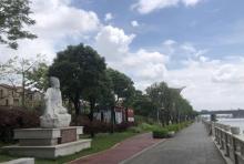 中堂龙舟广场2