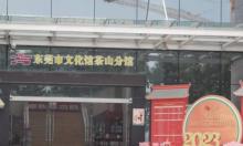 东莞图书馆(茶山分馆)1
