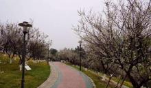 萝岗区府市民公园5