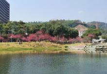 萝岗区府市民公园8