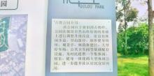 古楼公园11