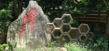 养生源蜜蜂王国6