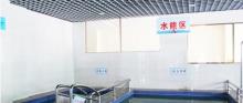 榕树湾泳健会2
