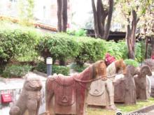 金鳌洲塔3