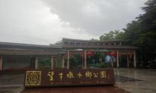 望牛墩水乡公园1