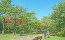 胜利公园1