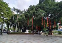 百源川池5