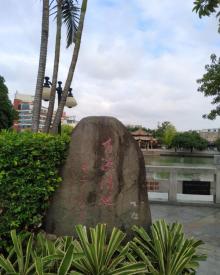 百源川池6