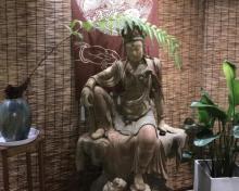 戏鲤茶楼2