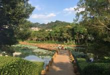 石锣鼓湿地公园7
