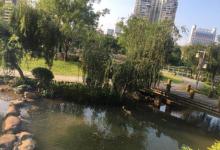 石锣鼓湿地公园6
