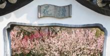 福建梅花山国家级自然保护区5