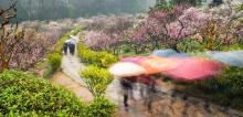 福建梅花山国家级自然保护区2