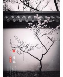 福建梅花山国家级自然保护区9