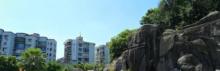中山公园7