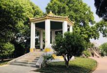 中山公园11