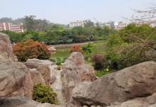 芝山公园8
