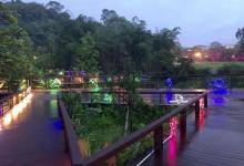 芝山公园13