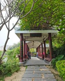 芝山公园7