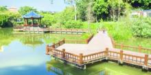 芝山公园4