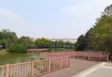 芝山公园5
