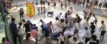金鸡山霞贯双溪生态园5