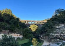 厦门小坪森林公园2