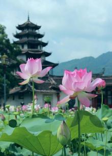 西陂天后宫2