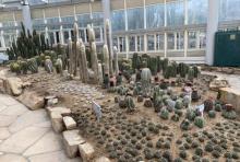 多浆植物展馆1