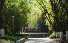 鹭潮鼓浪屿美院1